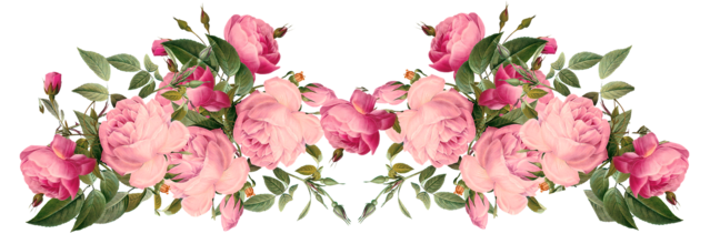 Pink_Realistic_Rose_Border.png.png