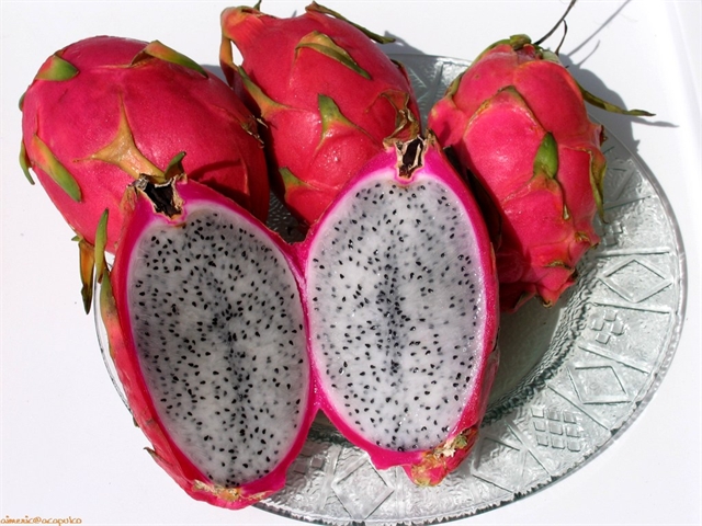 Pitayya-pitahayya-drakoniy-frukt.jpg.jpeg