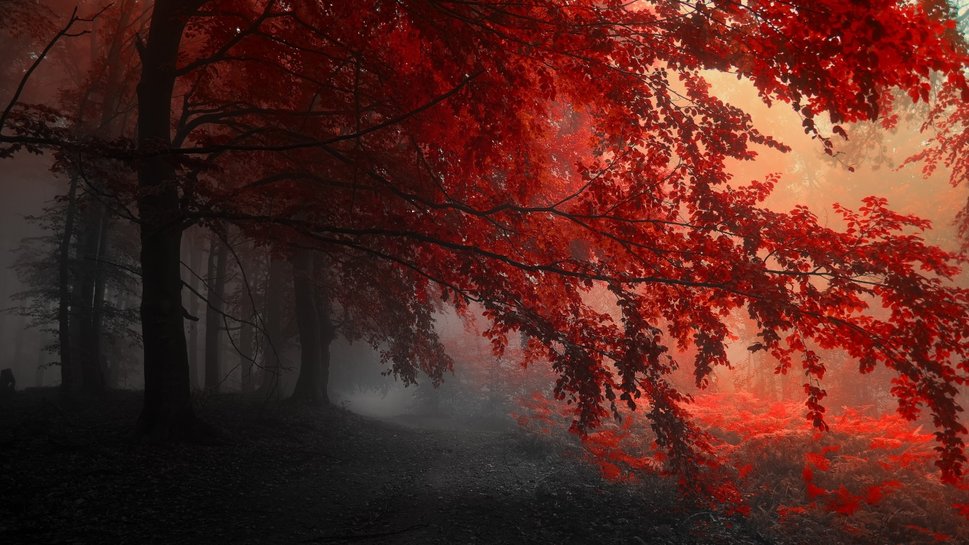 94882__forest-copper_p.jpg