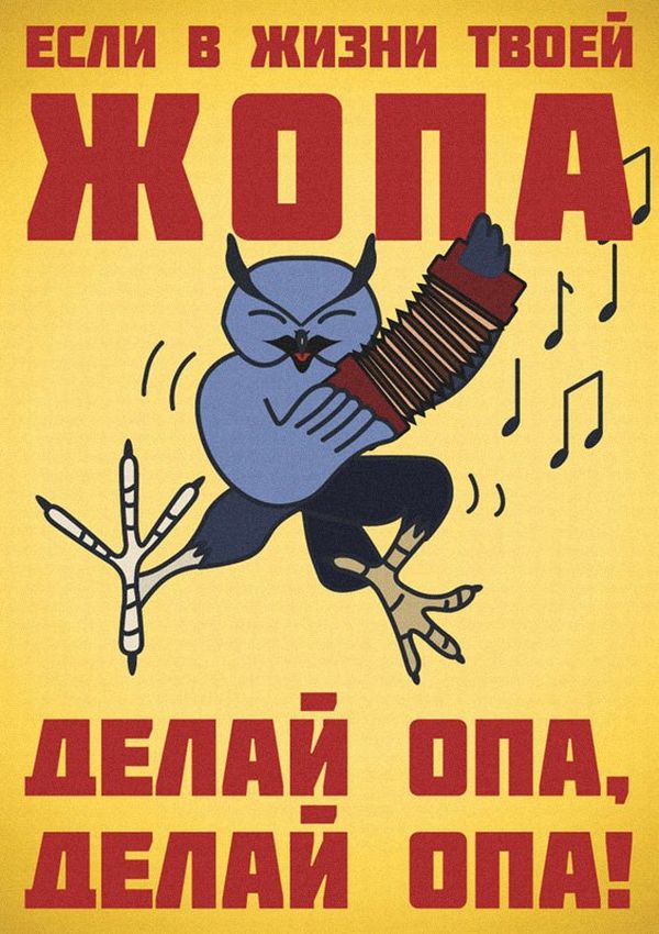 Сова.jpg