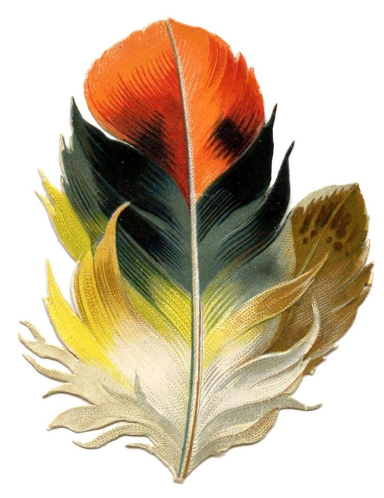 vintage-feather-clipart-3.jpg