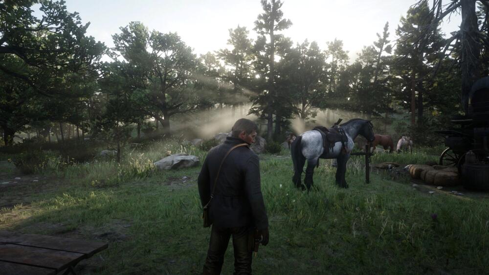 RDR2_2019_11_18_22_44_28_560.jpg