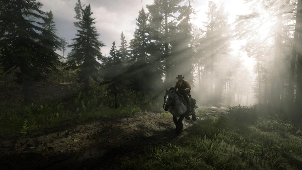 RDR2_2019_11_18_22_44_00_544.jpg