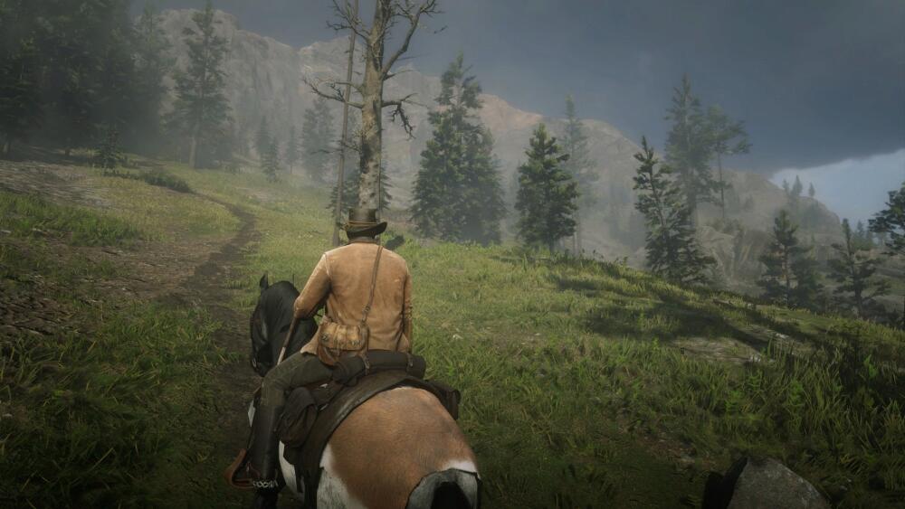 RDR2_2019_11_18_22_44_13_545.jpg