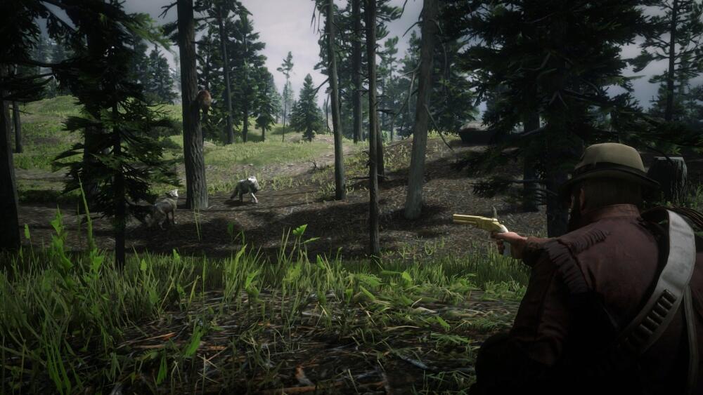 RDR2_2019_11_18_22_47_13_602.jpg