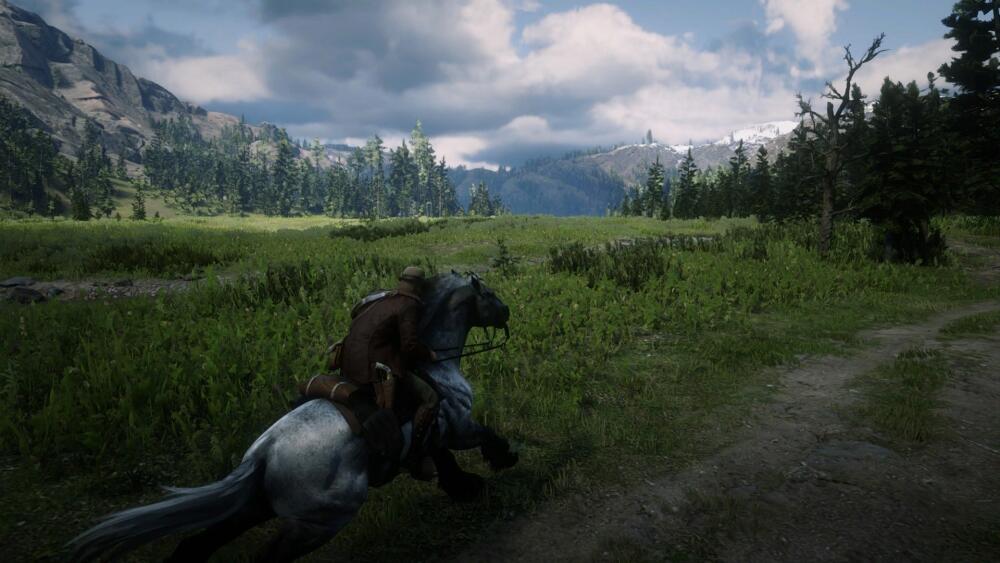 RDR2_2019_11_18_22_46_45_325.jpg