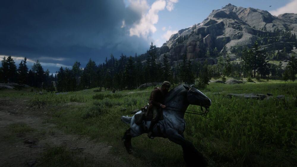 RDR2_2019_11_18_22_46_56_235.jpg