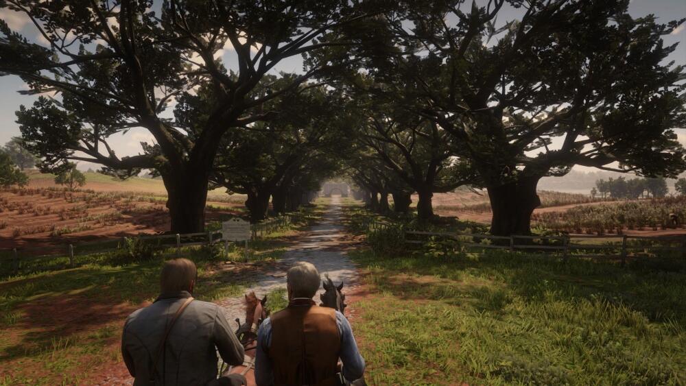 RDR2_2019_11_18_22_44_52_567.jpg
