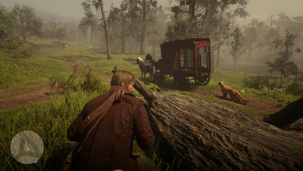 RDR2_2019_11_18_23_03_00_863.jpg