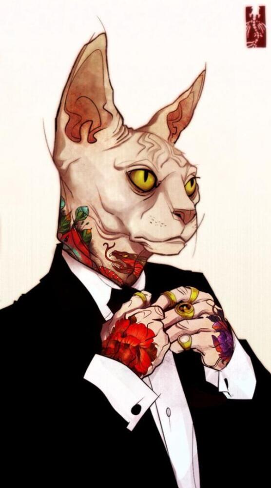 кот.jpg