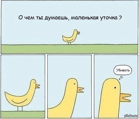 1394038309_1003969780.jpg