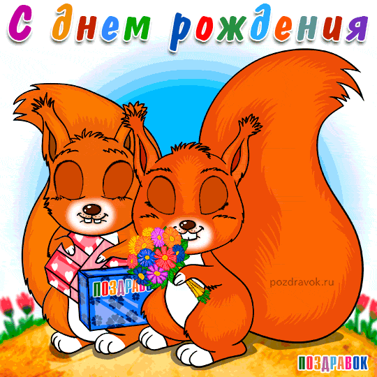 den-rozhdeniya-otkrytka-pozdravlenie-belka.gif