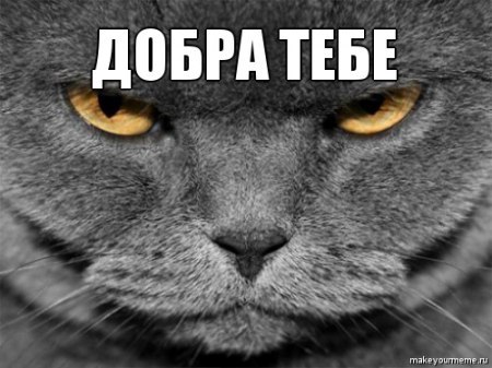 няшка-дети-70973.jpeg