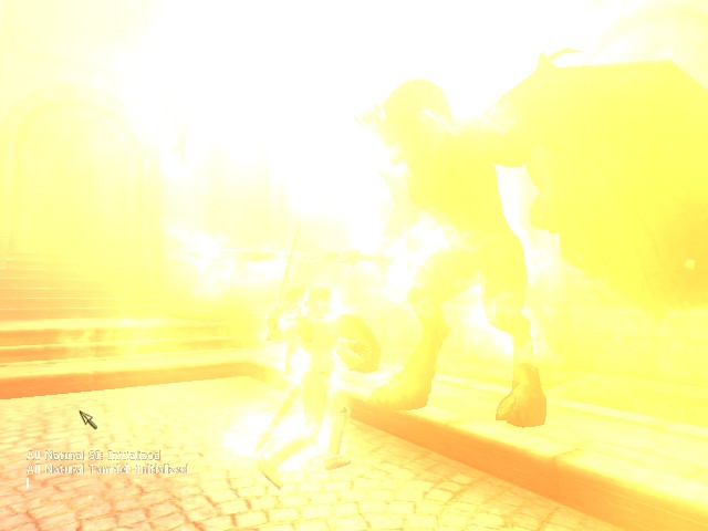 zOblivion169.jpg