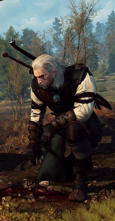 The_Witcher_3_Wild_Hunt_Alas_poor_Yorick.jpg