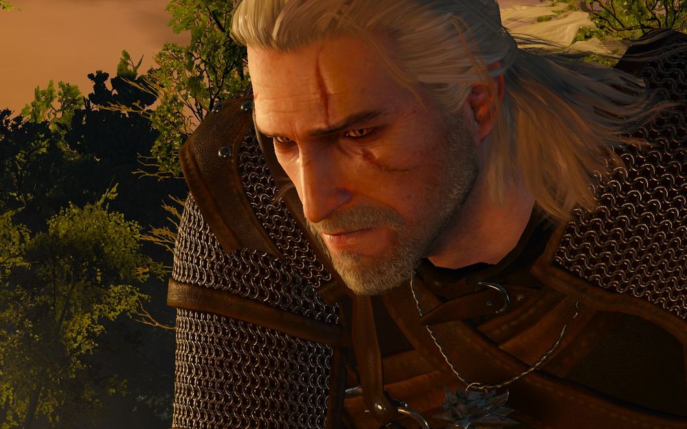 witcher3 2015-05-20 03-05-05-12.jpg