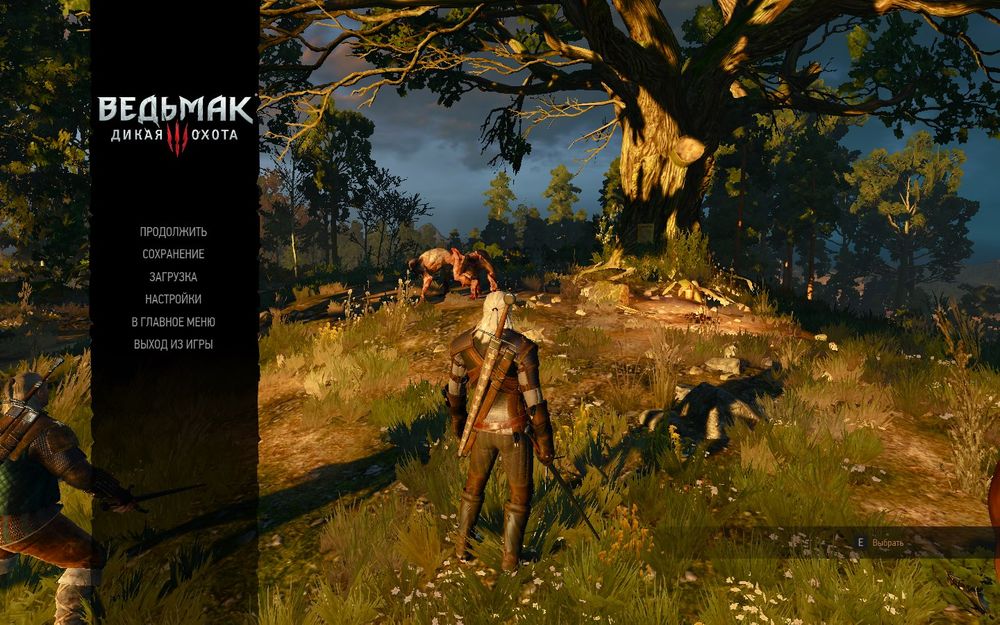 witcher3 2015-05-20 03-07-18-27.jpg