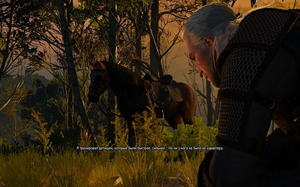 witcher3 2015-05-20 03-04-47-10.jpg