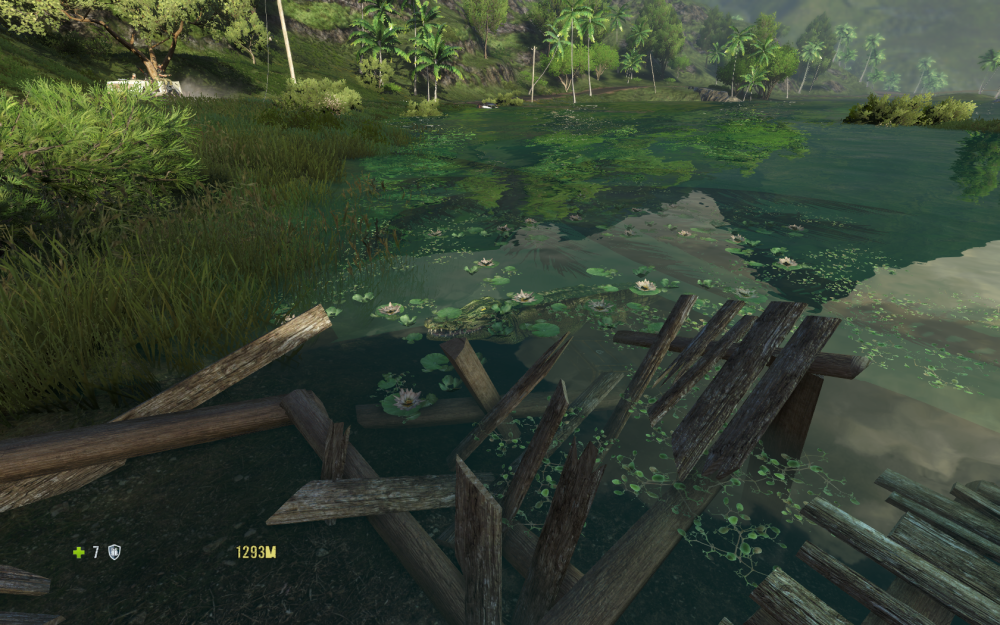 farcry3_d3d11 2014-03-04 20-26-40-82.png