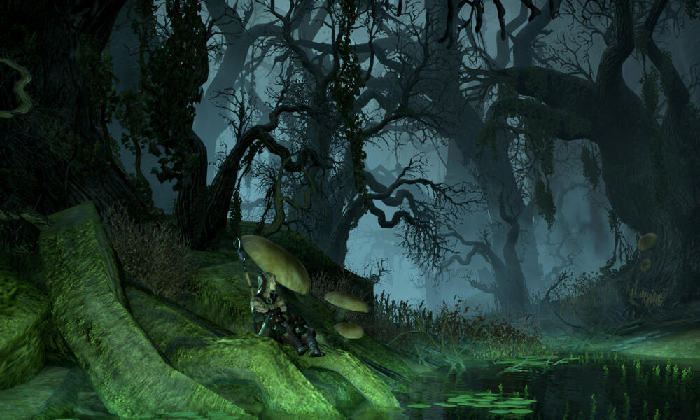 Selene's Web 2.jpg