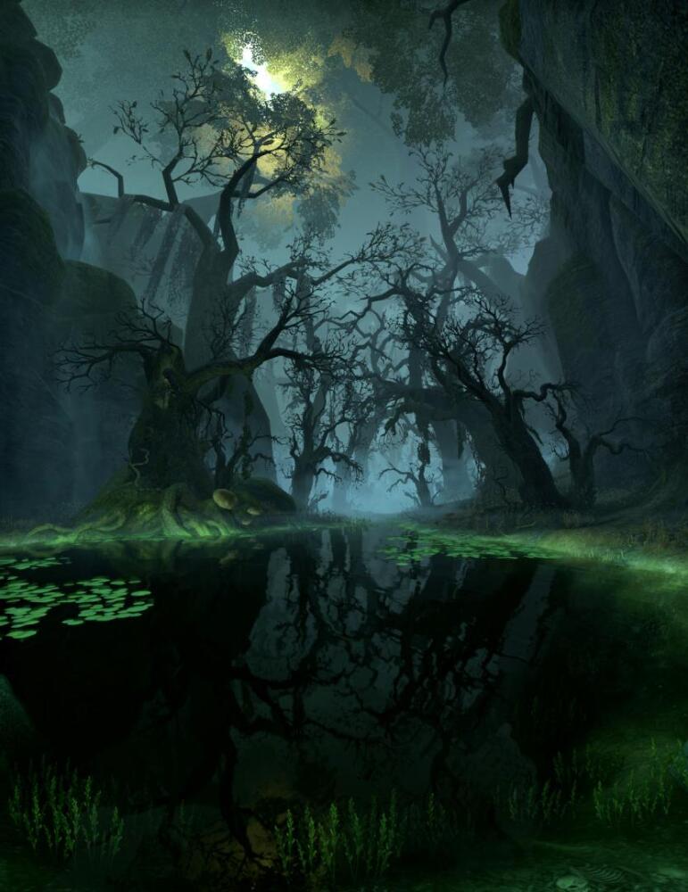 Selene's Web 1.jpg