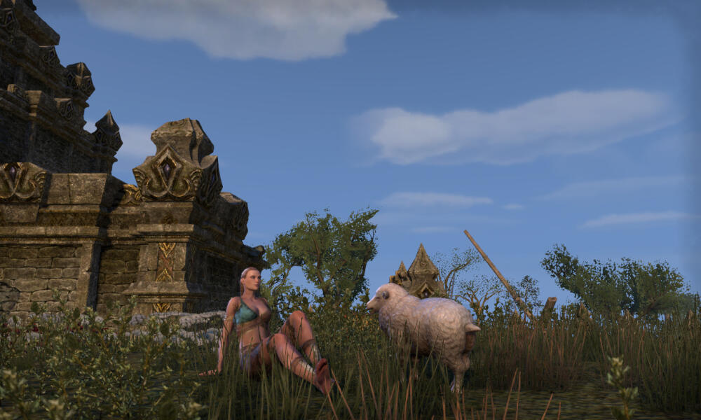 Thorun and sheep.jpg