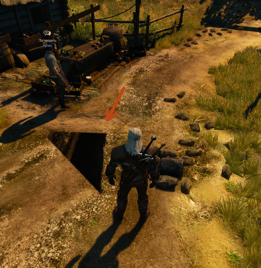 Witcher3_bug_1.jpg