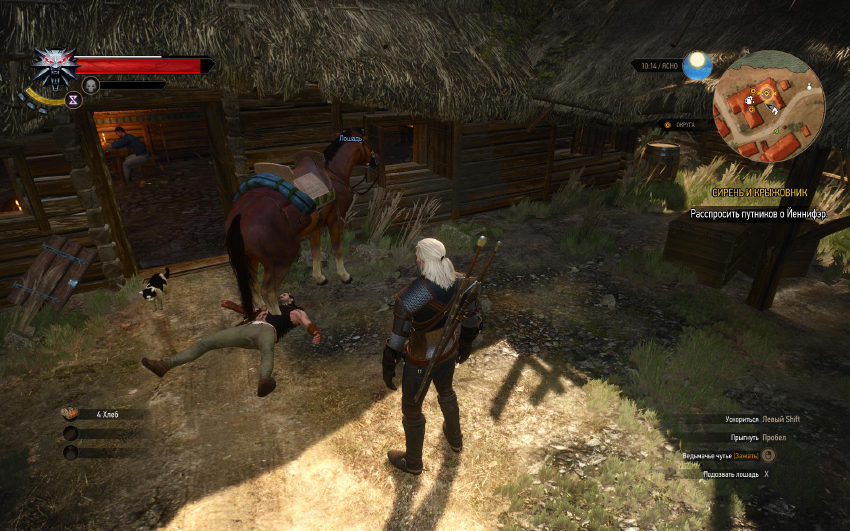 Witcher 3_1.jpg