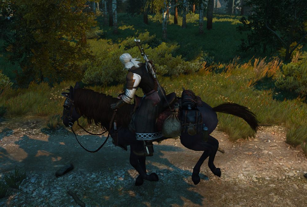 black_horse.jpg