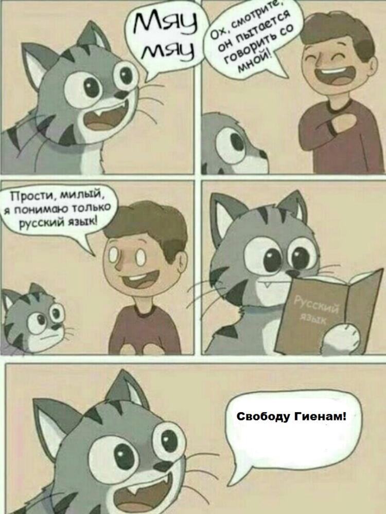 pL_5__Lwy_4.jpg