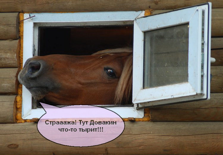 Лошадка-Стукач.jpg