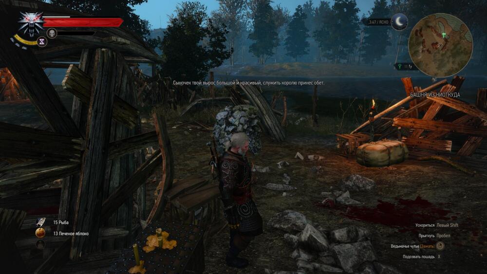 witcher3 2015-06-02 16-57-20-03.jpg