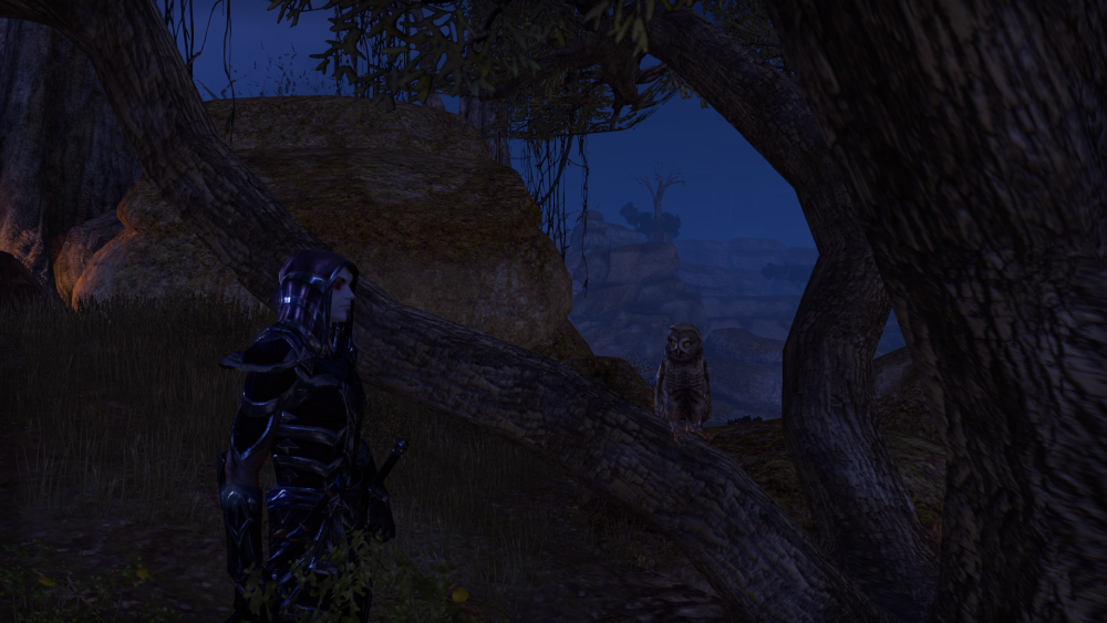 Screenshot_20150522_145858.png