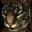 favicon2.JPG