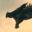 favicon4.JPG