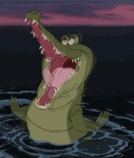 13544638352734.gif