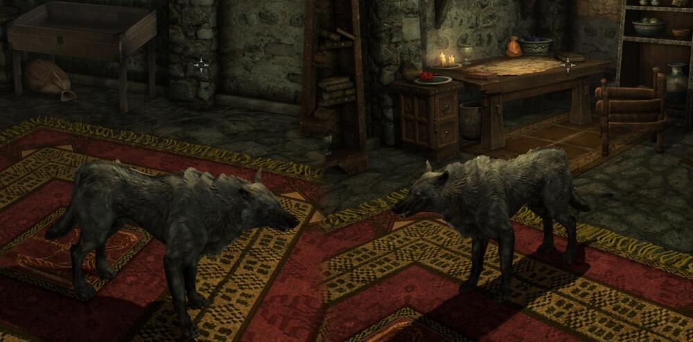 wolf.jpg