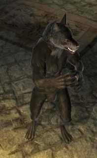 ScreenShot41_3.jpg