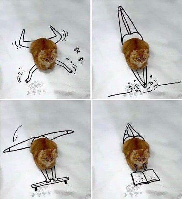 котэ.jpg