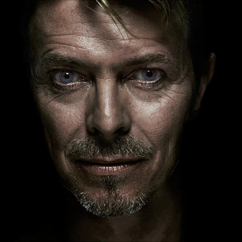 fan-art-david-bowie-5363641-500-500.jpg