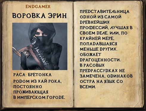 Endgamer.png