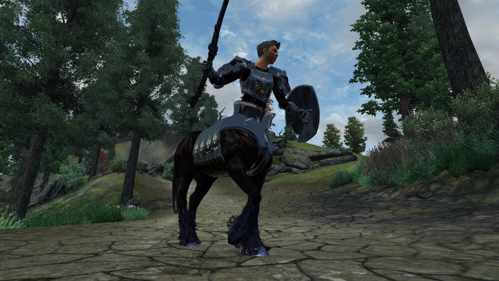 Elder Scrolls IV  Oblivion Screenshot 2019.02.21 - 16.19.12.65.jpg