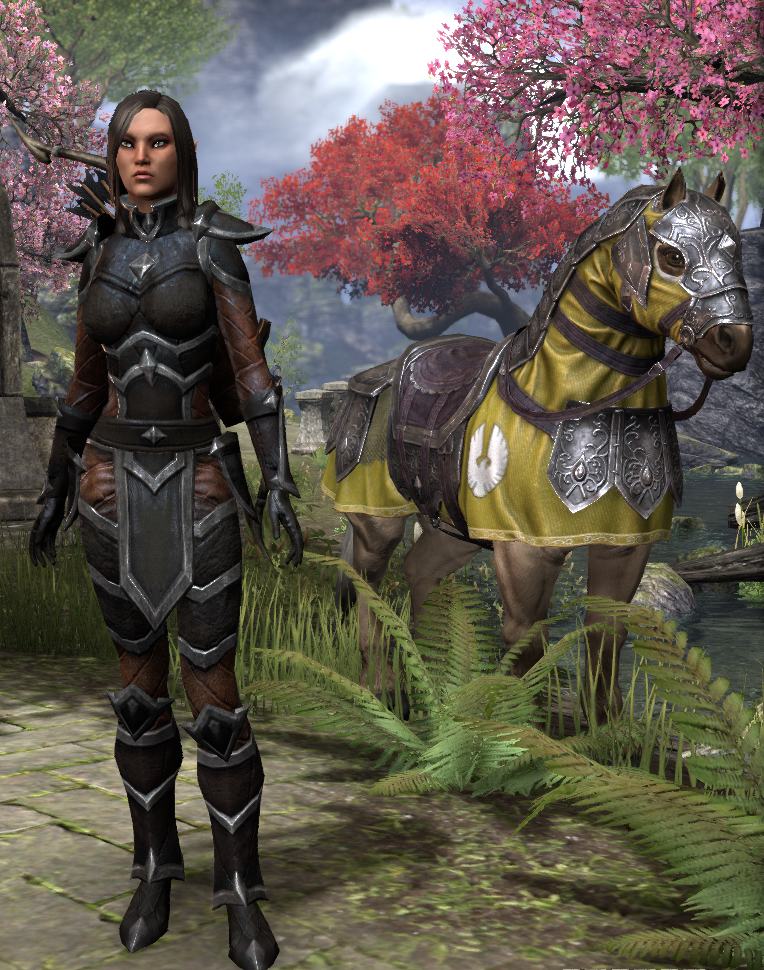 Elder Scrolls  Online 10.07.2016 - 18.44.10.02.png