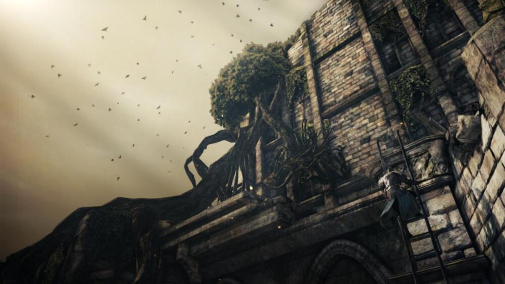 1365616388-dark-souls-ii-playstation-3-ps3-8.jpg