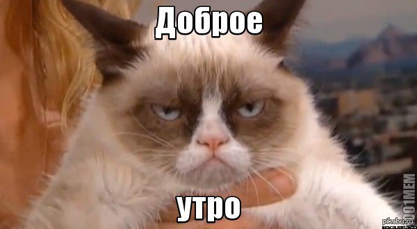 8wkmYqZ8GYs.jpg