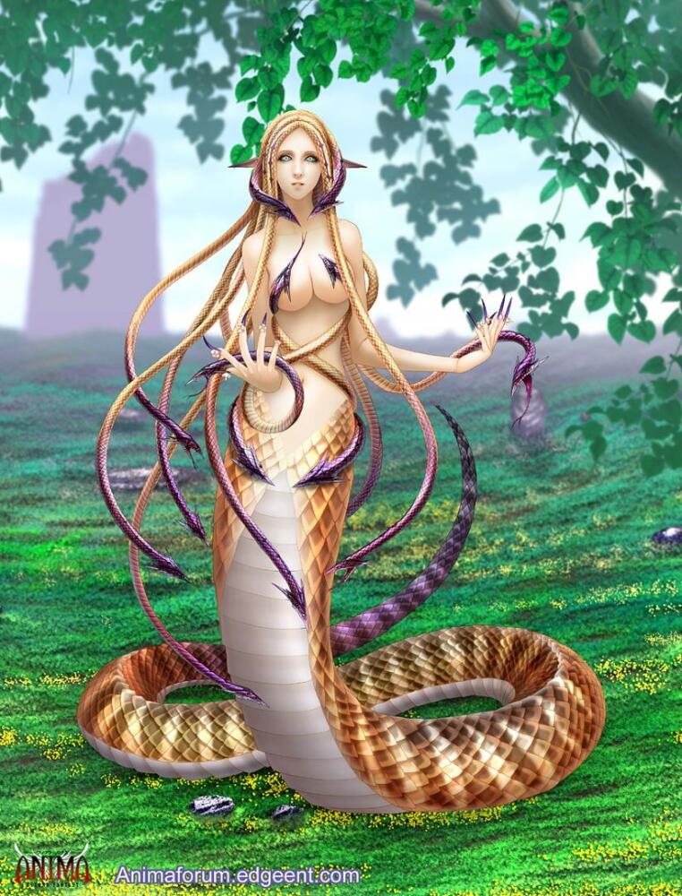 medusa-wiki-39.jpg