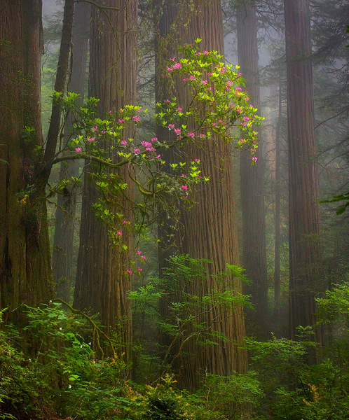 0_a2438_3c3b1cd2_orig.jpg