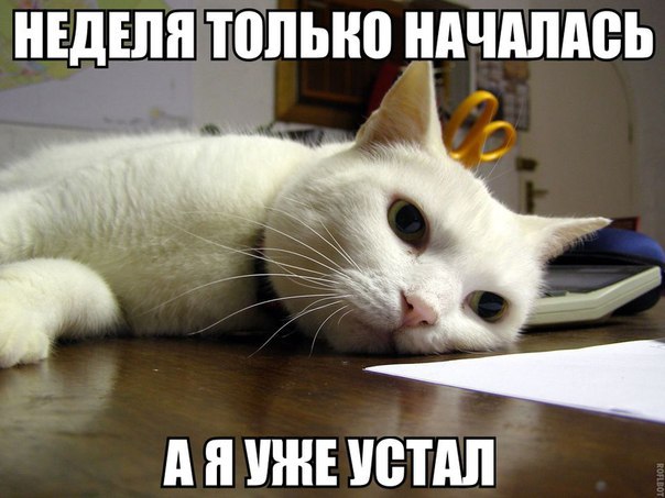 8J7ph2SsfvA.jpg