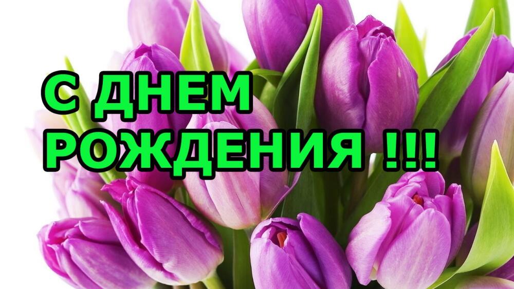 pozdravlenie-s-dnem-rozhdenija-kollege-zhenschine-video-kollege.jpg.jpeg