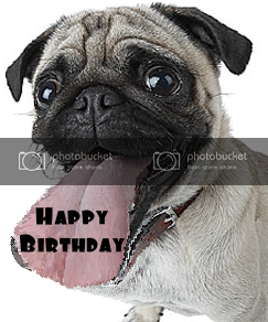 Pug-3-1.png.webp.png